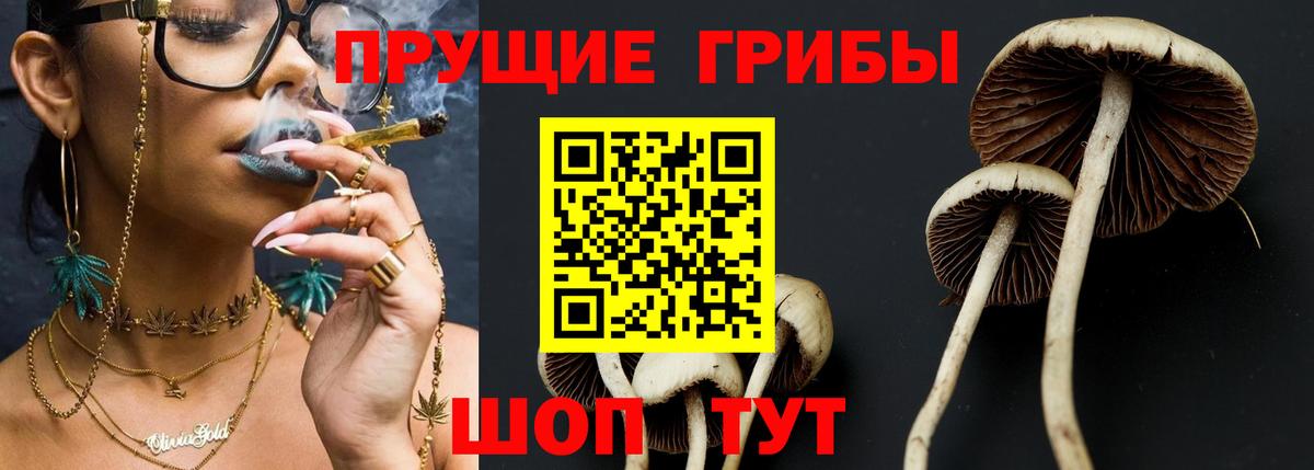 Псилоцибиновые грибы мицелий  Псилоцибиновые грибы Magic Shrooms  Вход с VPN  Елабуга 